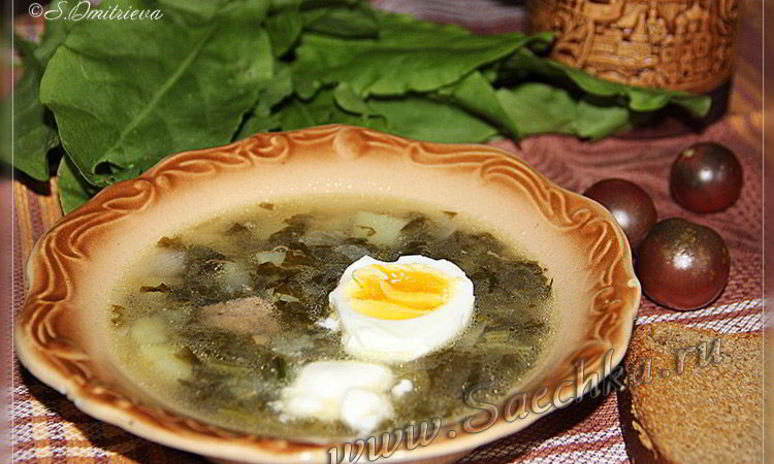 Рецепт щей из щавеля