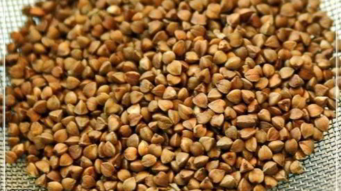 щи постные с гречкой и квашеной капустой