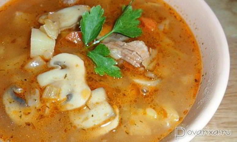 Рецепт супа-солянки с грибами и капустой