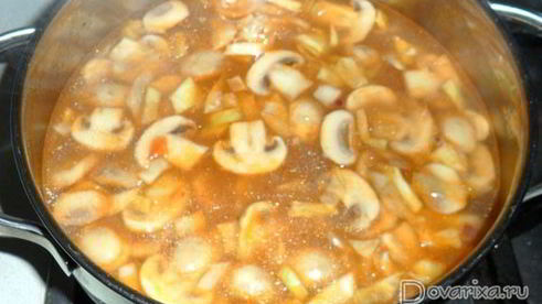 суп-солянка с грибами и капустой