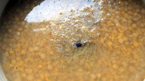 чечевичный суп-пюре с лисичками