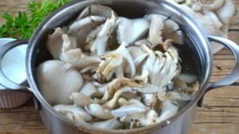 суп-пюре из вешенок