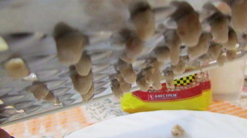 суп с гречневыми клецками-кнопками