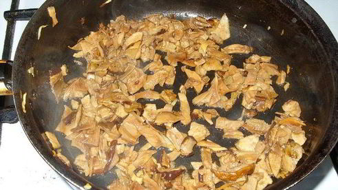 супчик из белых грибов