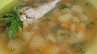 Уха из карася