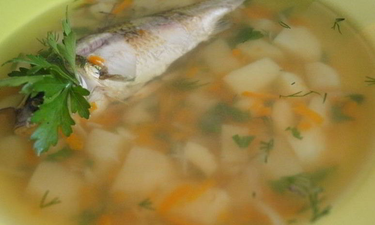 Рецепт ухи из карася