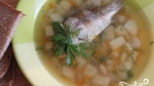 уха из карася