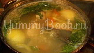 Уха из семги