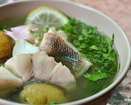 Уха из стерляди