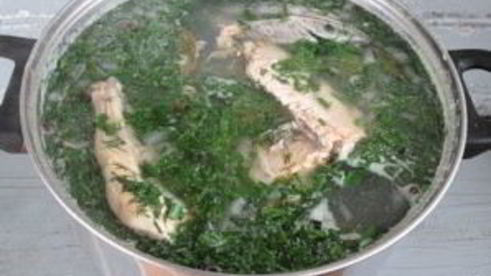 уха из стерляди