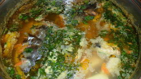 уха из трех видов рыбы