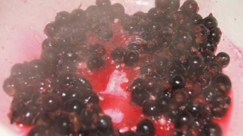 панкейки творожные со смородиново-медовым соусом