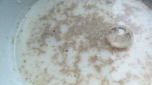 пышные блины на дрожжах