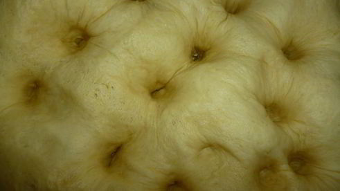 круассанчики с орехово-ирисовой начинкой