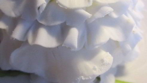 капкейки кофейно-ореховые цветочки