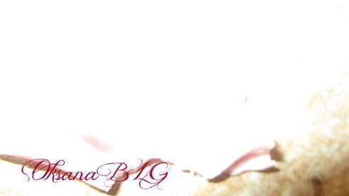 капкейки кофейно-ореховые цветочки