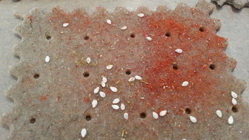 ржаные хлебцы