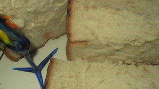 Сахарный хлеб