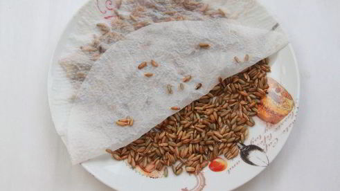 шведский брусничный хлеб