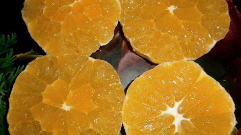 куриные конвертики с апельсинами