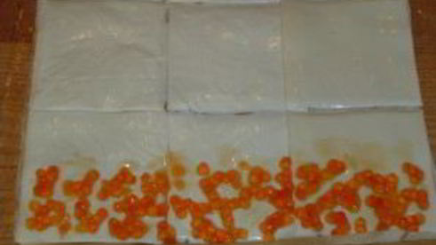 рулеты из лаваша с икрой