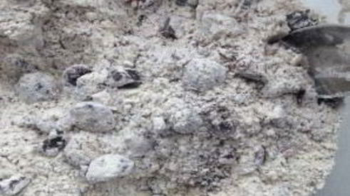 маффины с вишней