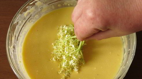 косматице оладьи из цветов черной бузины