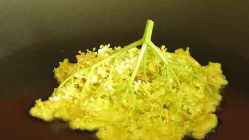 косматице оладьи из цветов черной бузины