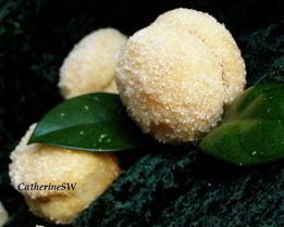 Печенье Персики