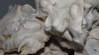 Печенье Птичьи гнезда