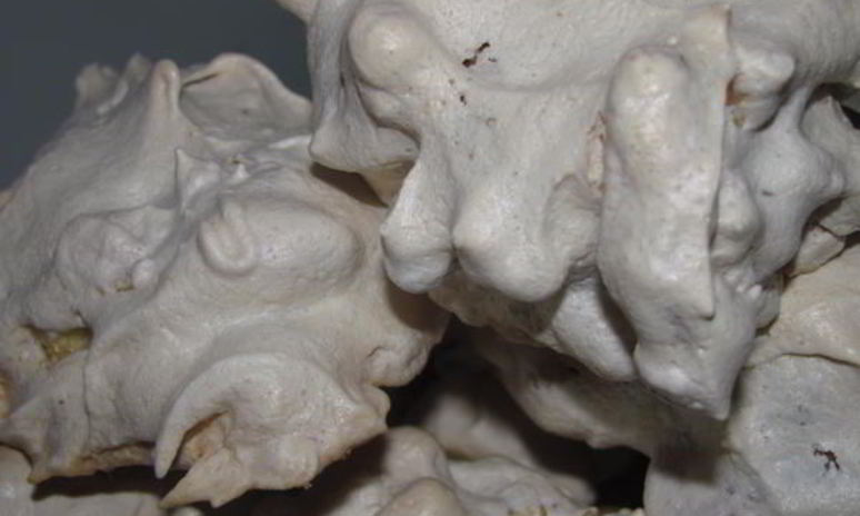 Рецепт печенья птичьи гнезда