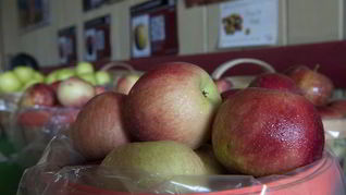 Печенье с яблоками