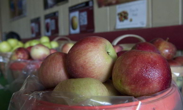 Рецепт печенья с яблоками