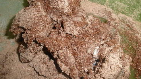 печенье шоколадные трещины