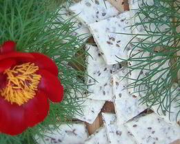 Постное соленое злаковое печенье