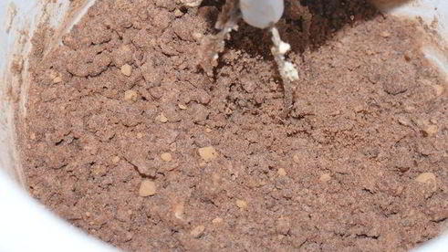 шоколадное печенье с чесноком