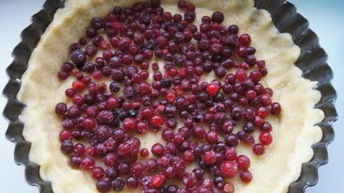 пирог с клюквой и шоколадным кремом на песочном тесте