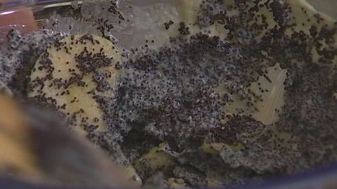 творожный пирог с маком и яблоками