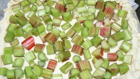 творожный пирог с ревенем