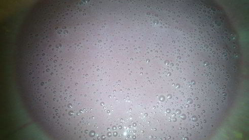 пирожное мое любимое