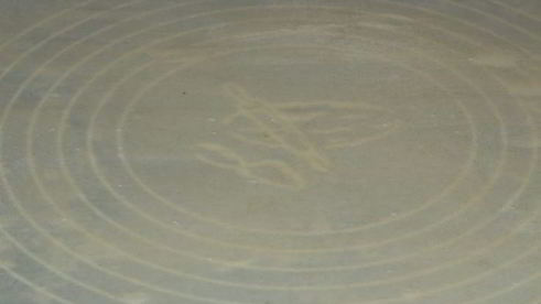 штрудель из вытяжного теста с вишнями