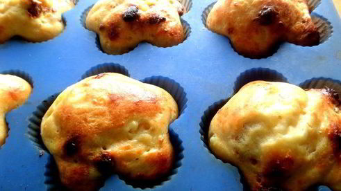 творожники с сухофруктами