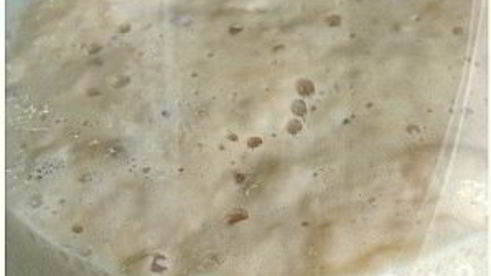 капустное тесто