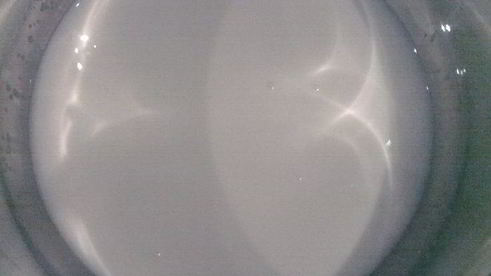 шоколадно-миндальный торт с заварным кремом