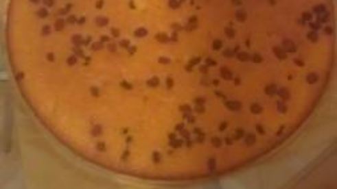 торт полинка