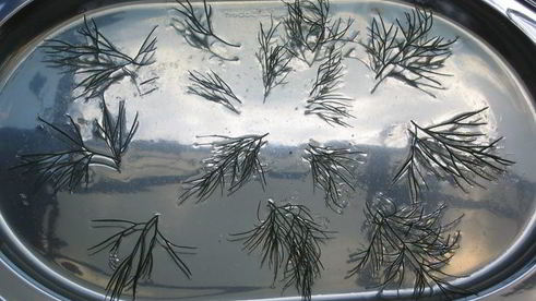 закусочный торт буржуа