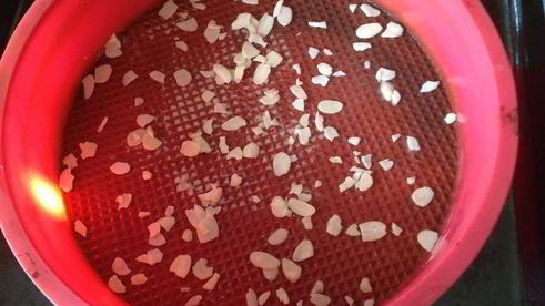 запеканка творожная с абрикосами