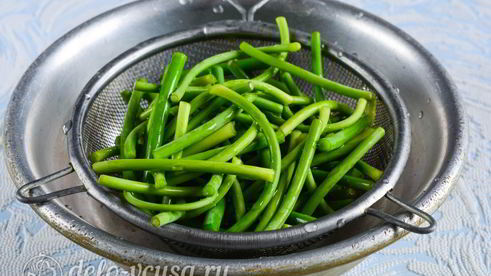 чесночные стрелки на зиму