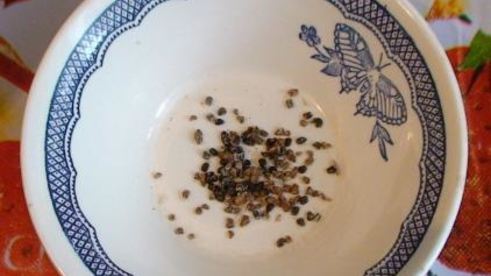 джем из киви и лимонов с кардамоном