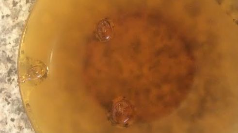 джем из персиков и нектаринов